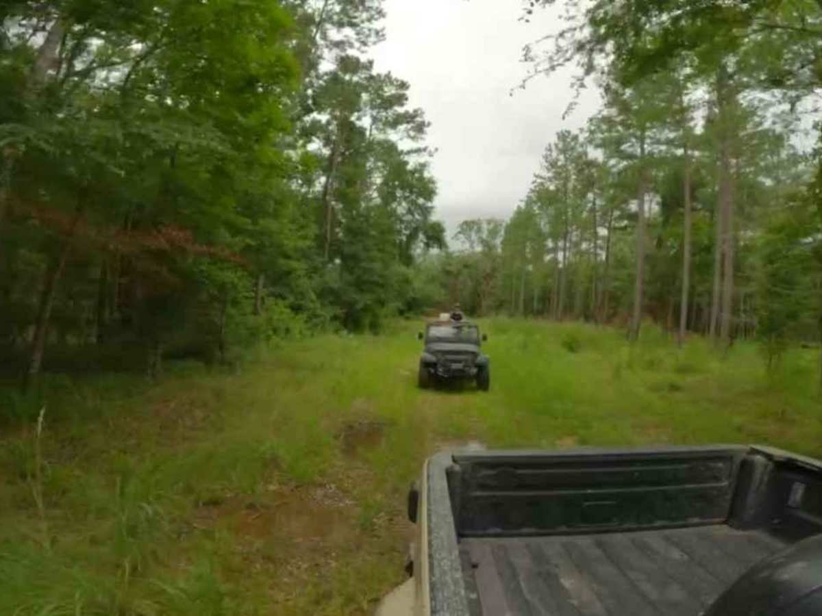 Trail to Miller Landing photo 2