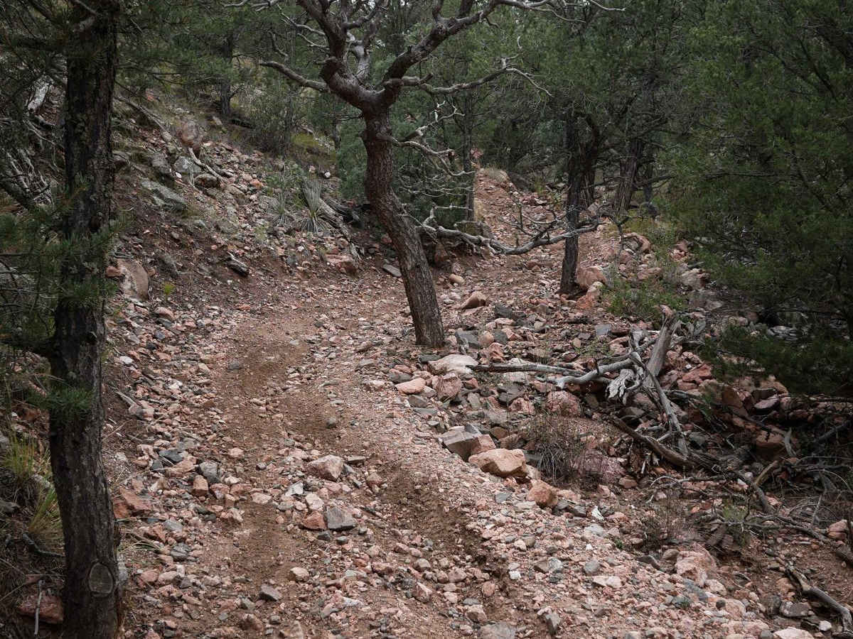6036 ATV photo 4