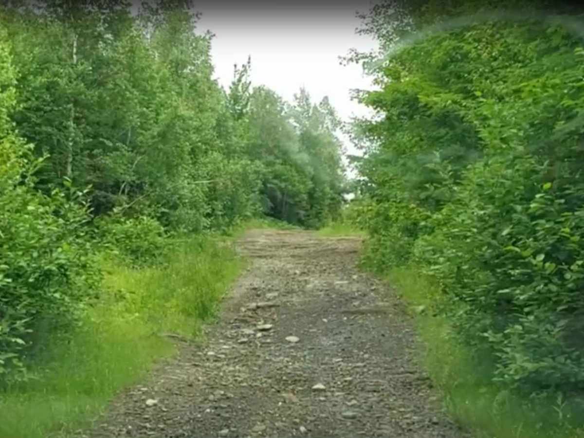 Maclean Settlement Road photo 2
