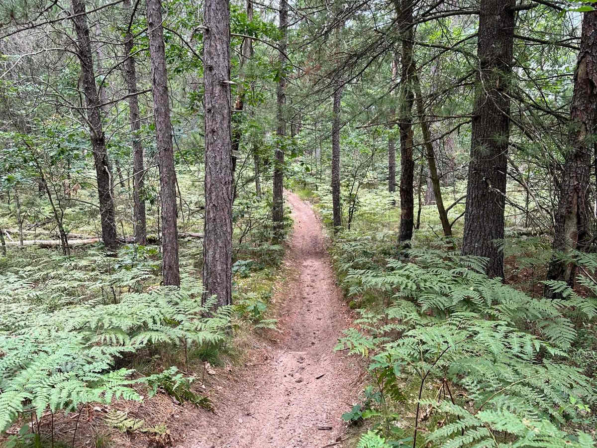 Little Manistee/Lincoln Hills Connector - Motorcycle Trail photo 3