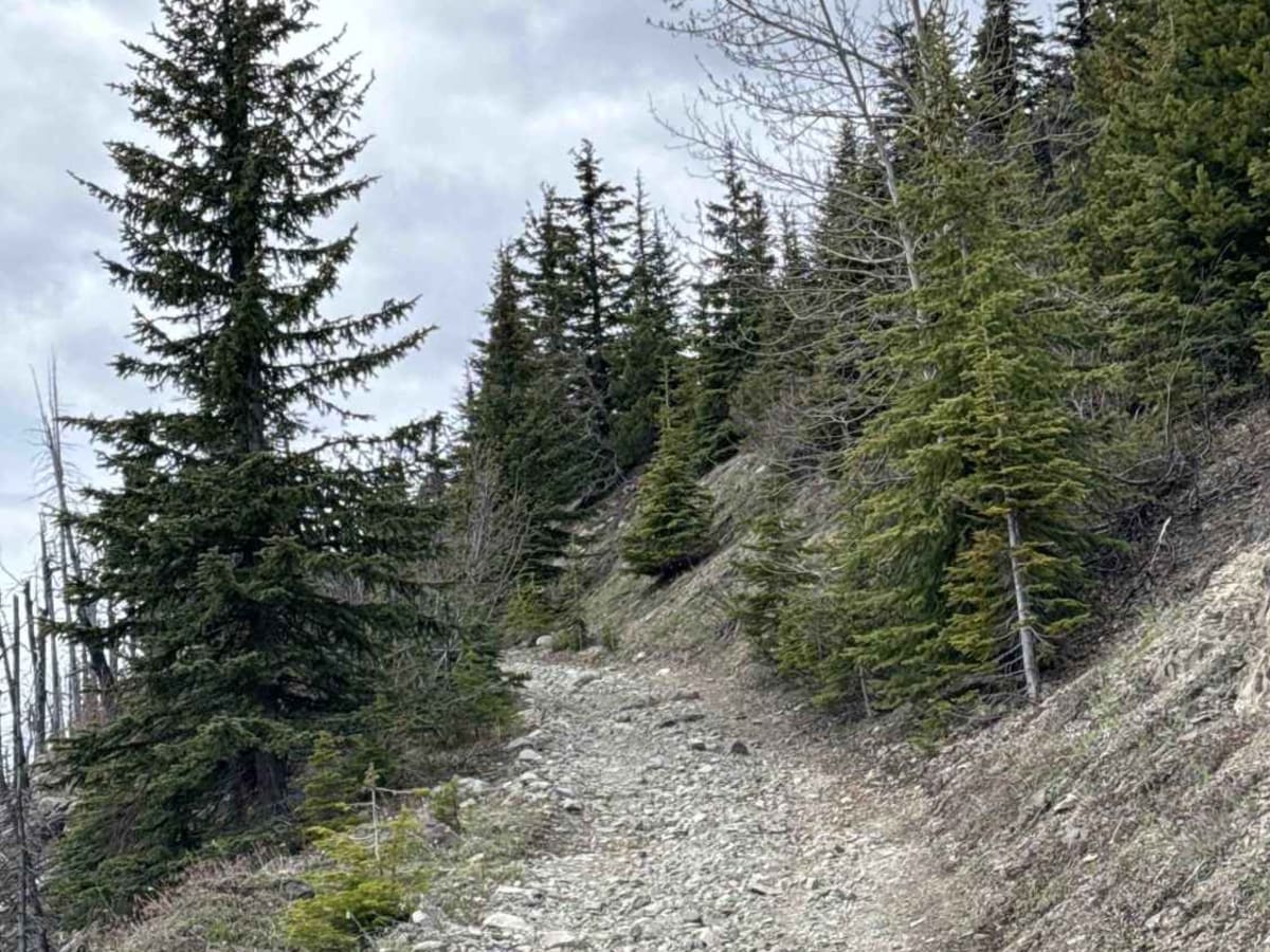 Terrace Mountain Road photo 6