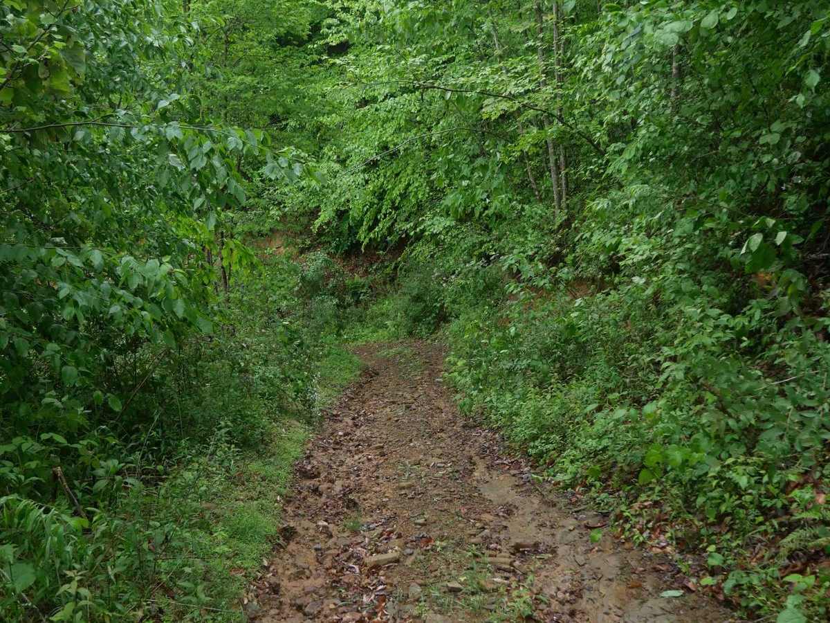 CC68 photo 5