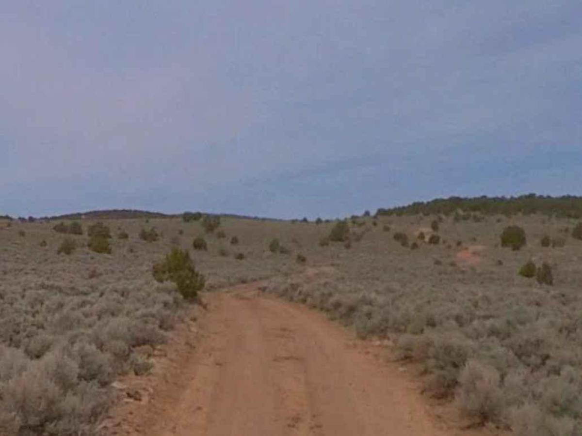 Dixie National Forest-FR31014 photo 5