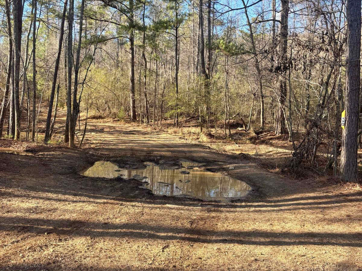 19 trail photo