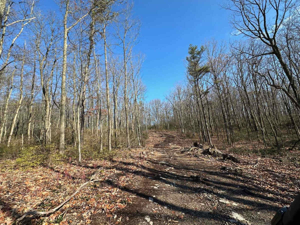 Darkwater 94 trail photo