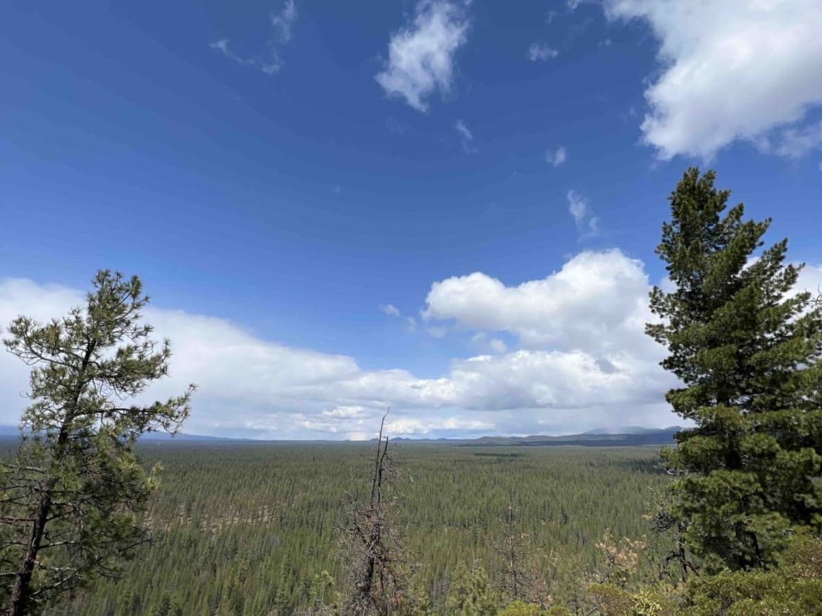 Finley Butte trail photo