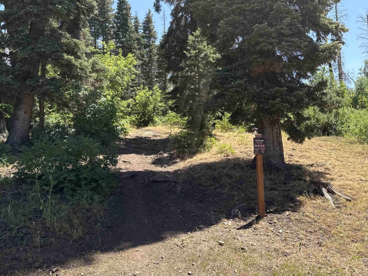 Shram Creek - FS 8124 photo 2