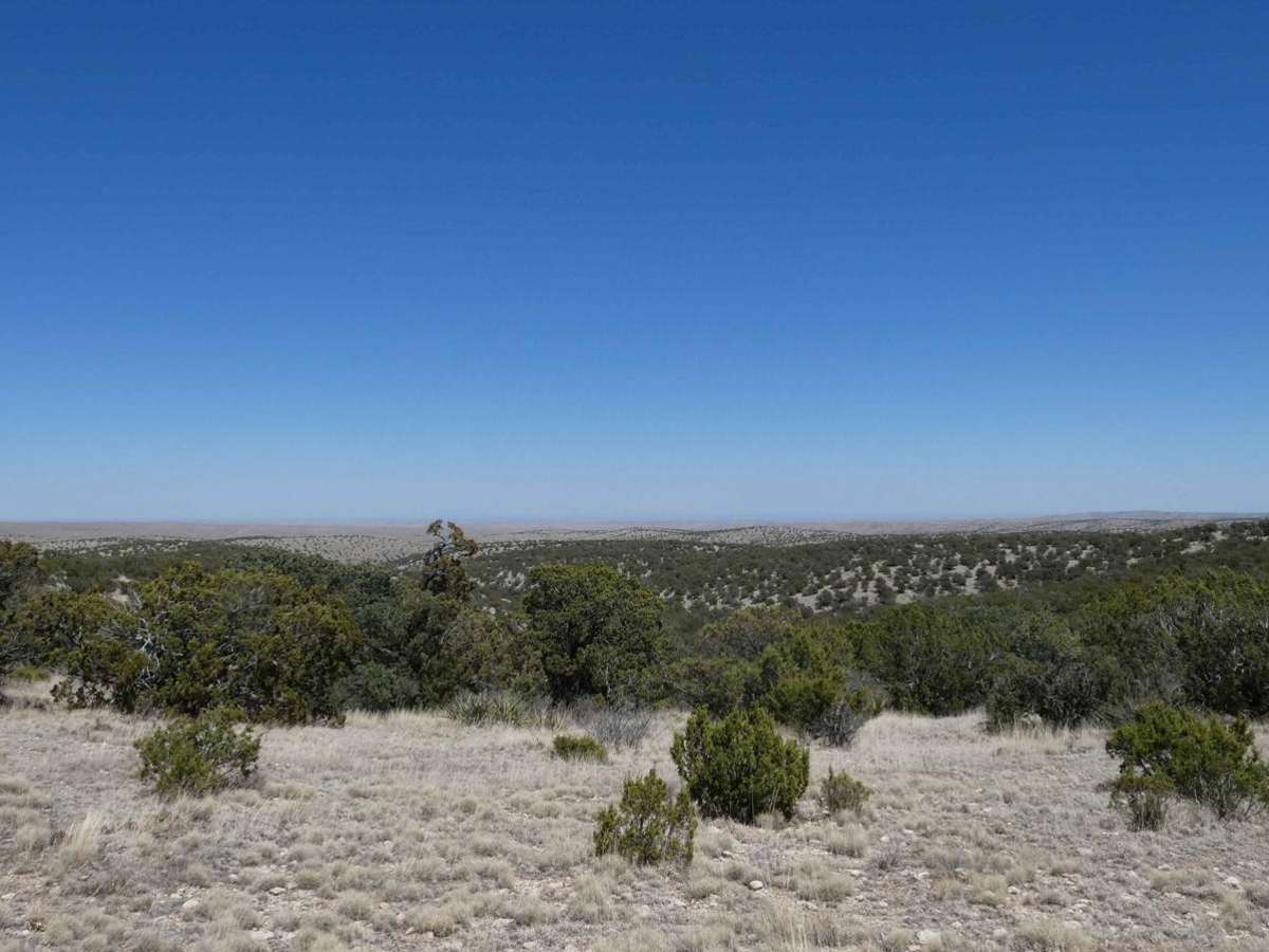 Wildhorse photo 6
