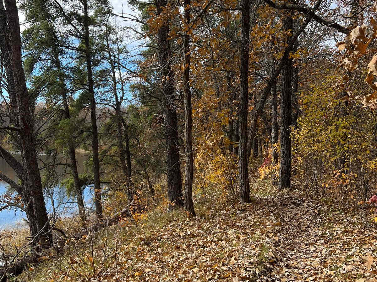 Crow Wing River Single Track photo 4
