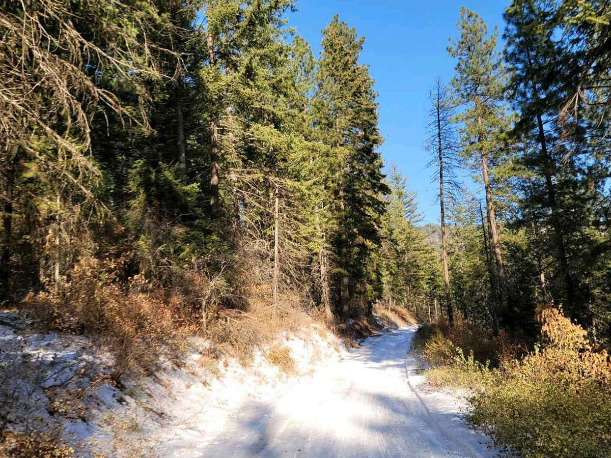 Sherlock Peak Byway photo 6