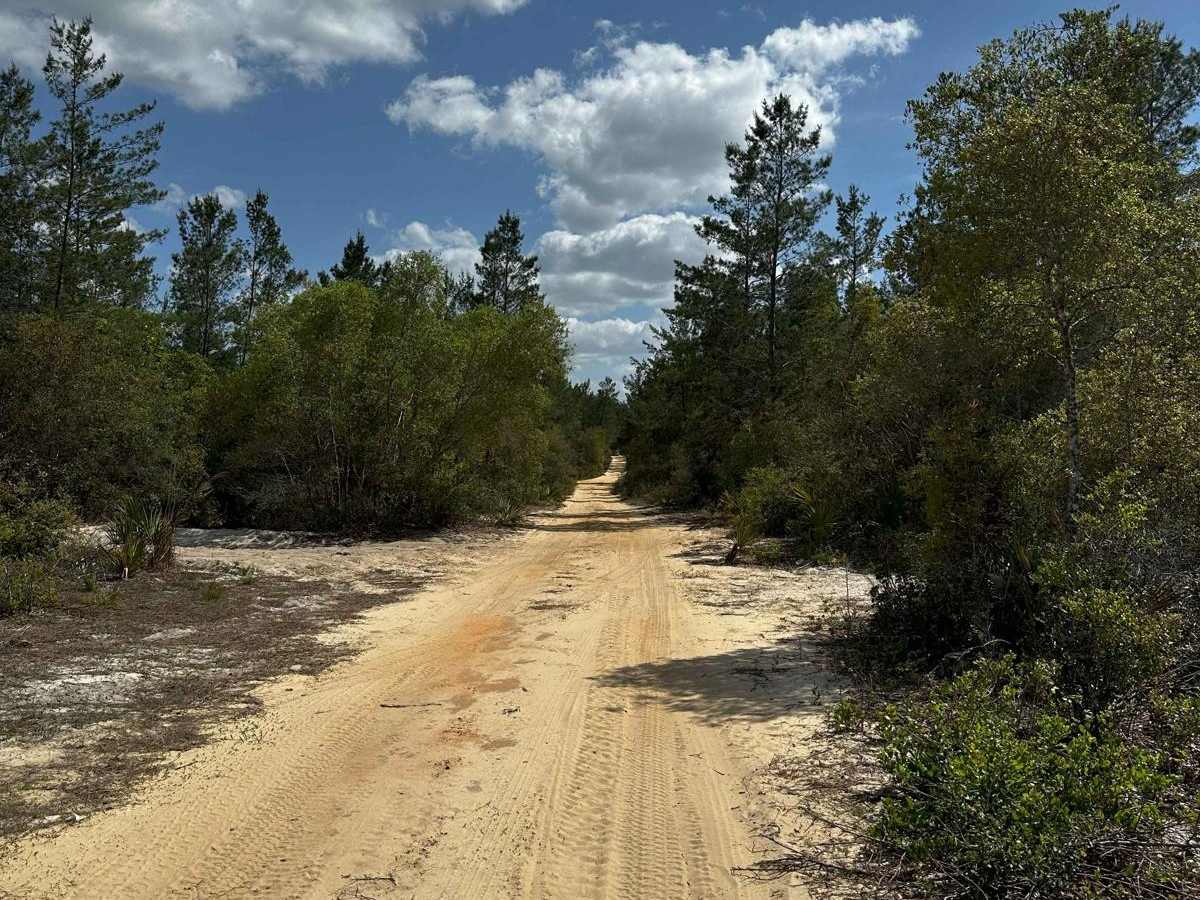ONF Trail 5-18.4 photo 4