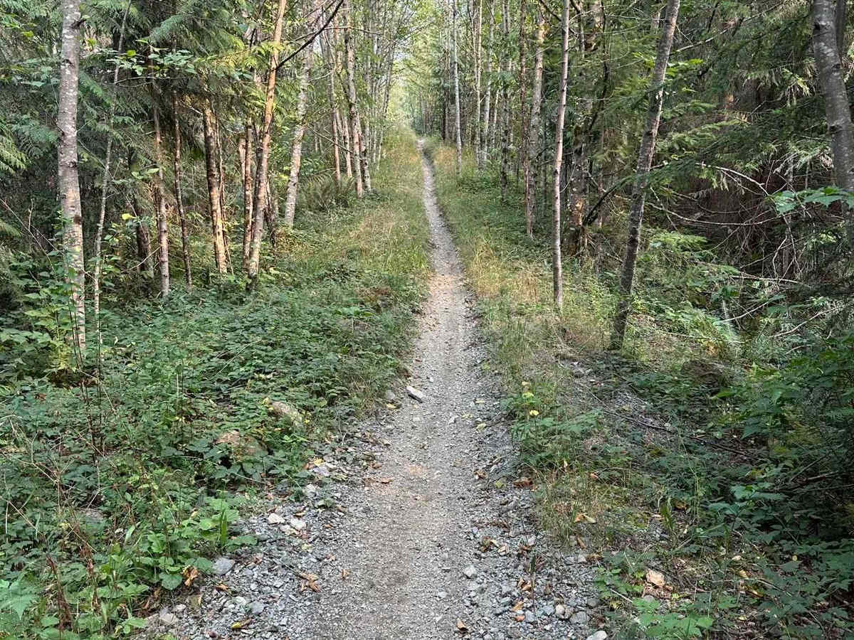 Weber's Wandering photo 4