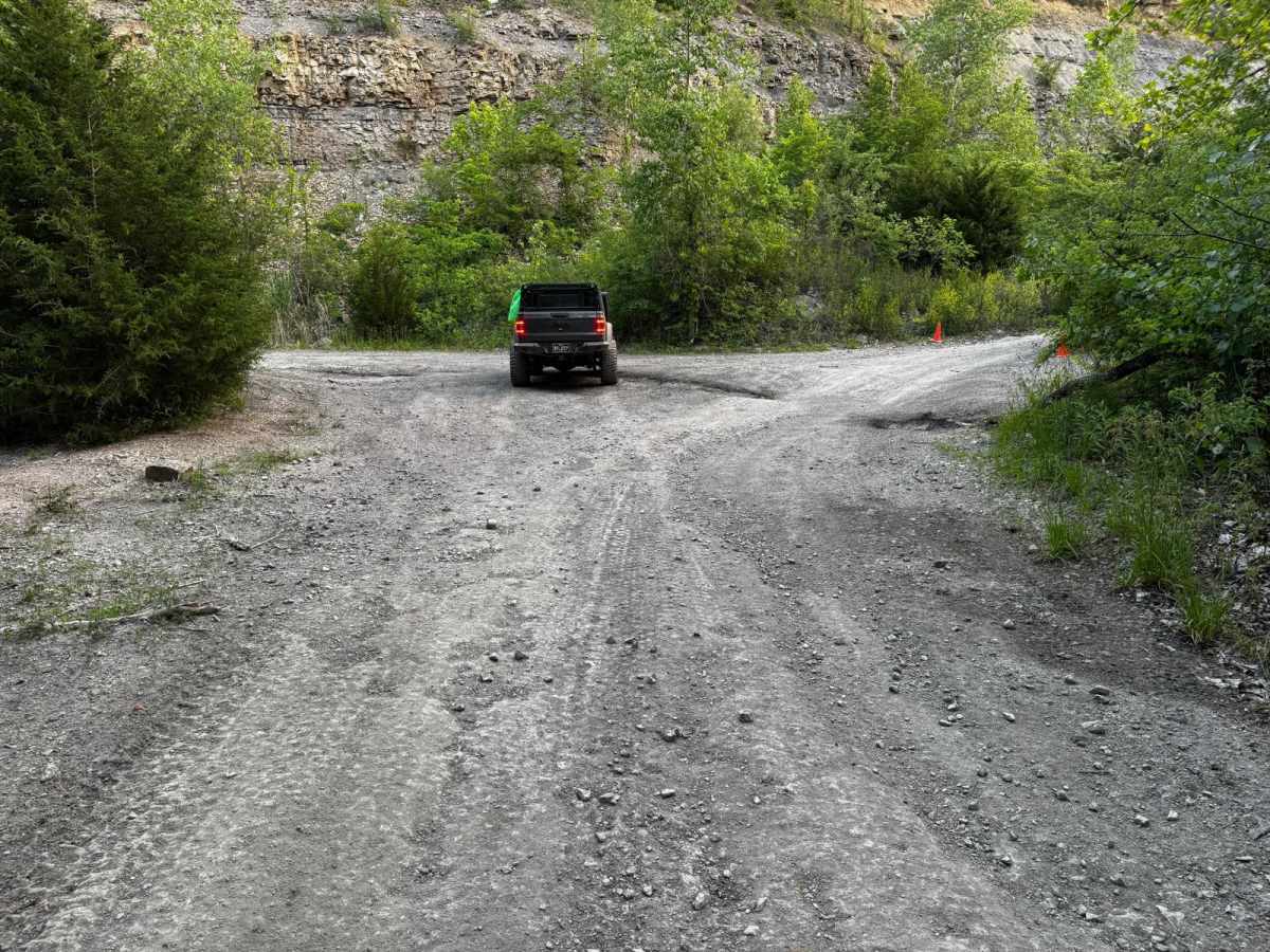 Green 161 photo 5