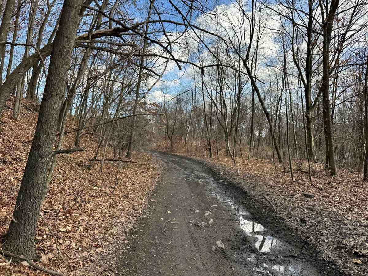 Ashland 37 trail photo