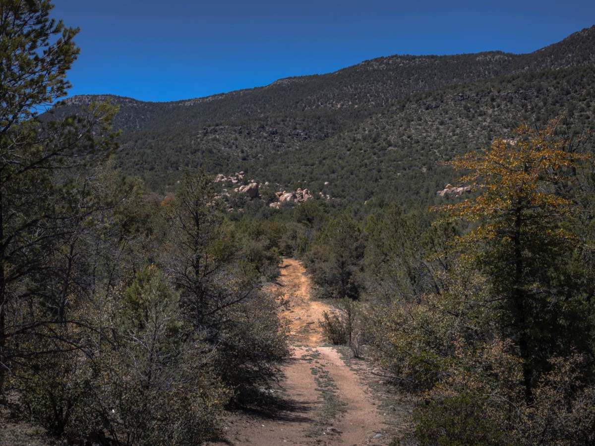 Lee Spring photo 6