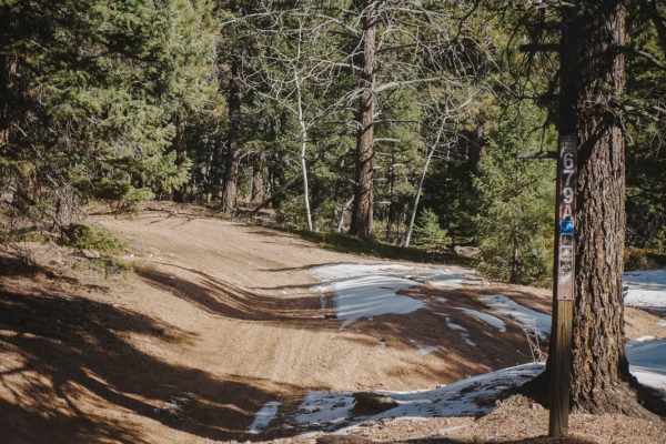 679A Devil's Head Spur ATV Trail