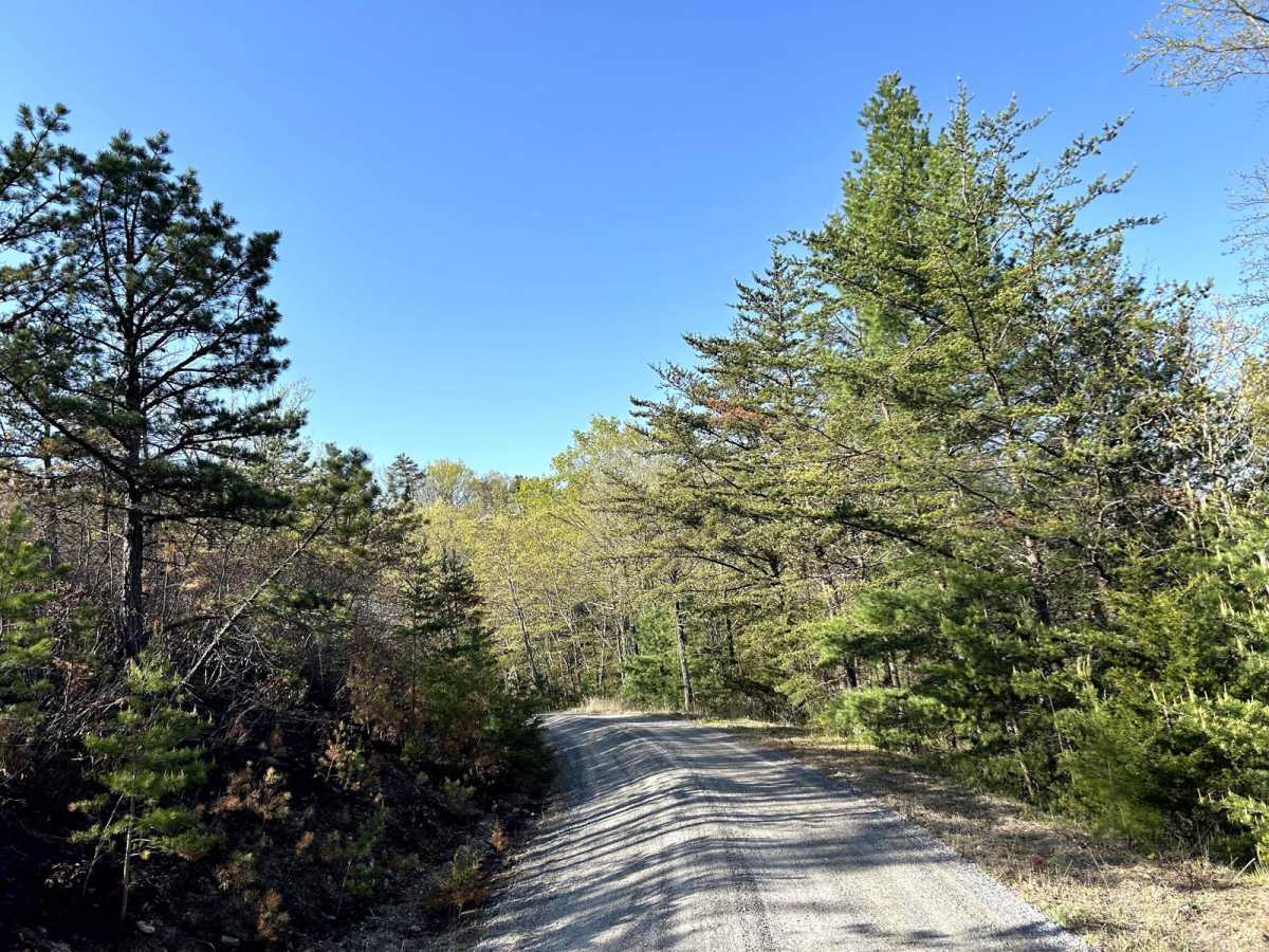 Squirrel Gap Road photo 4