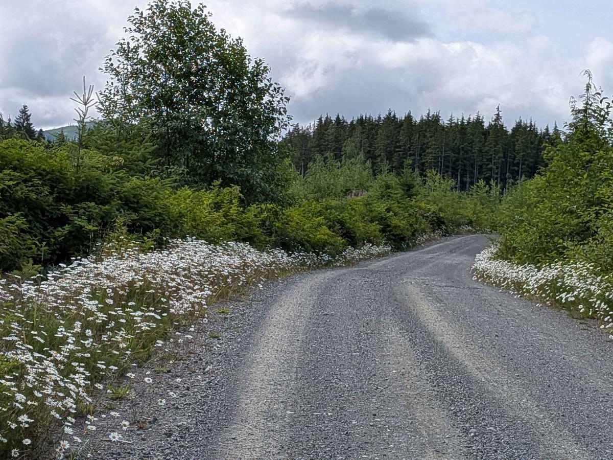 Southeast 2000 trail photo