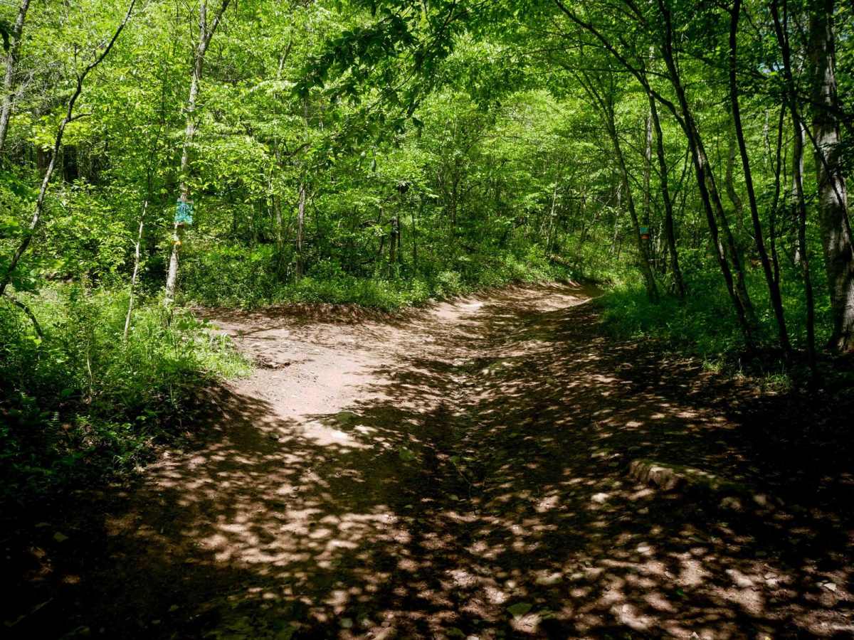 Trail 17 photo 6