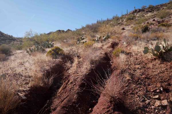 Picacho Singletrack