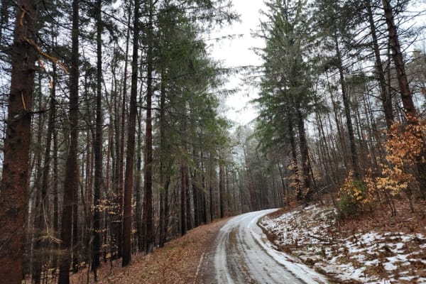 Snyder Hill PFAR