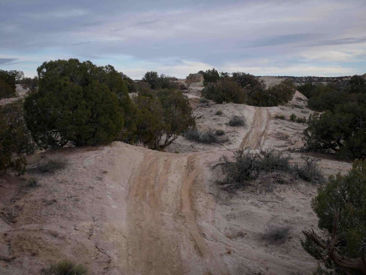 Rhinos Ridge photo 5