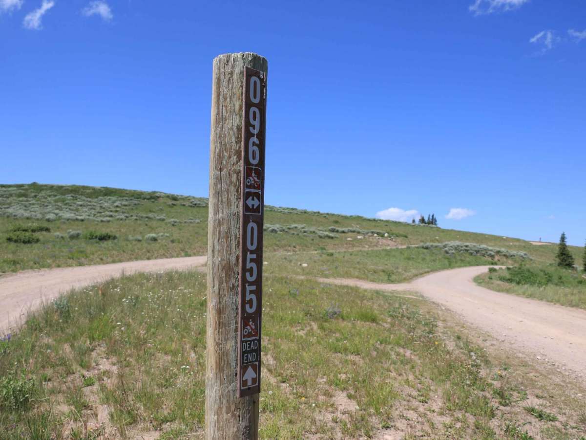 Heber Mountain Spur 1 - FS 70055 trail photo