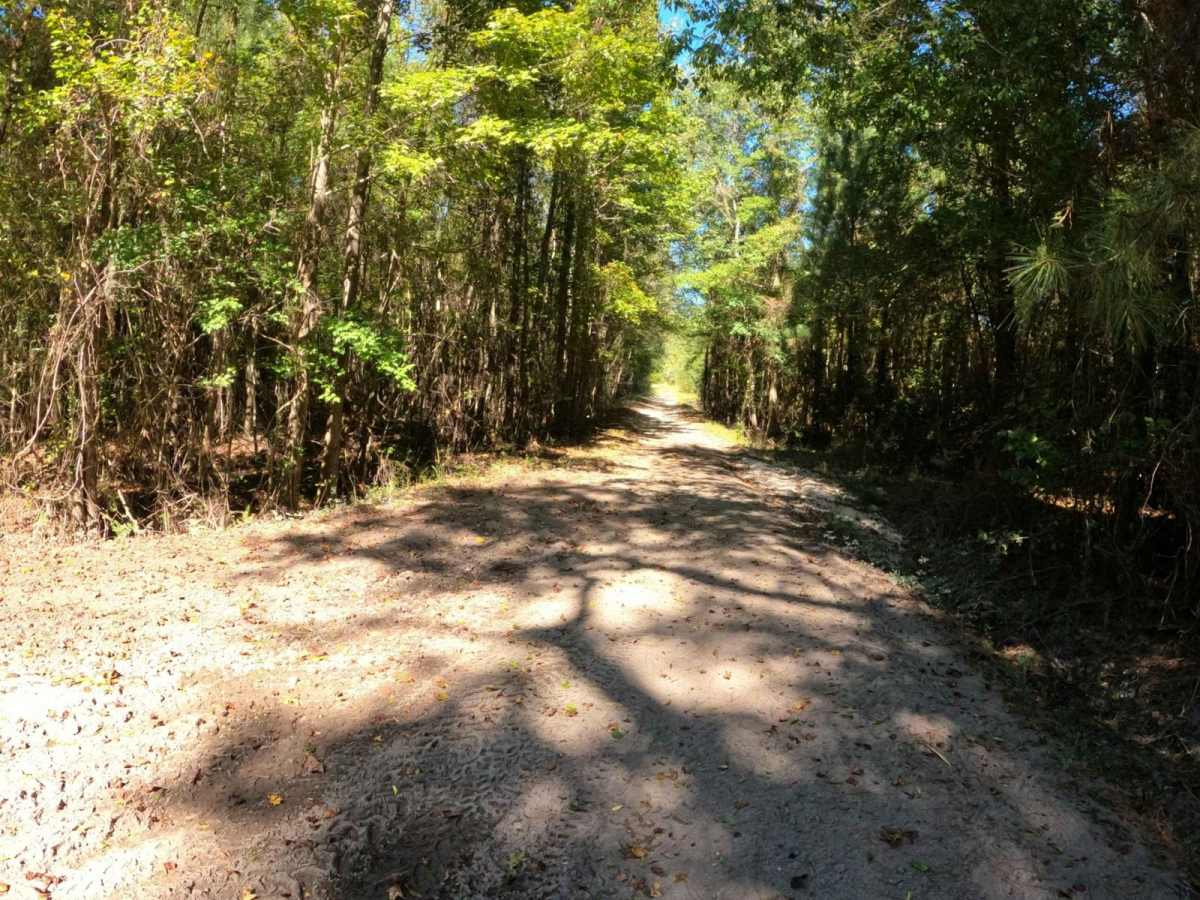 Radke Road trail photo
