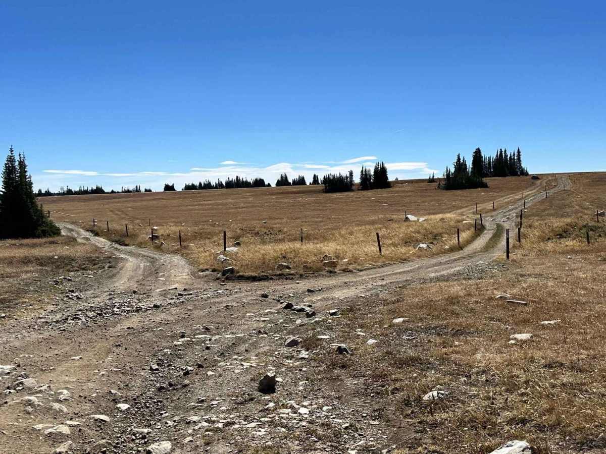 Libby Flats Road 336 photo 3