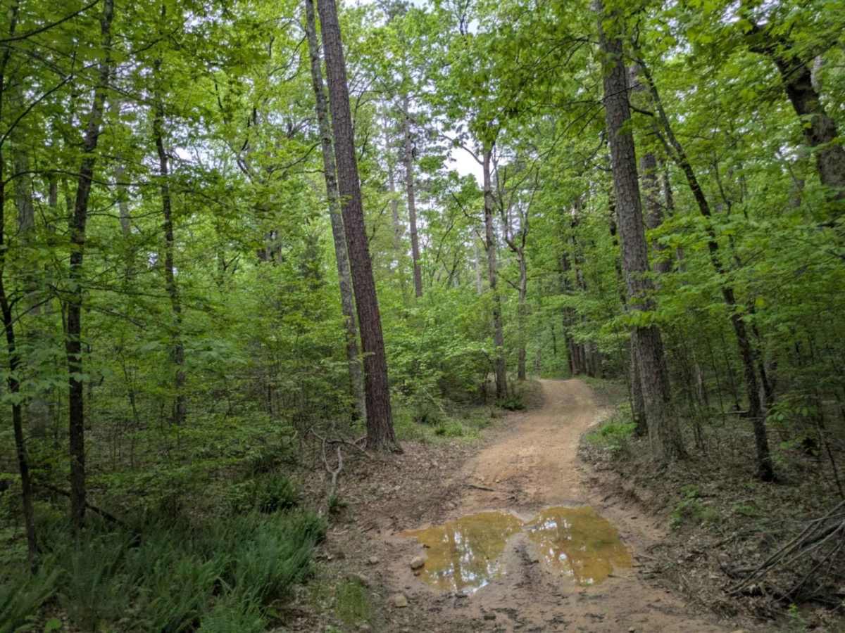 Bramlett R photo 3