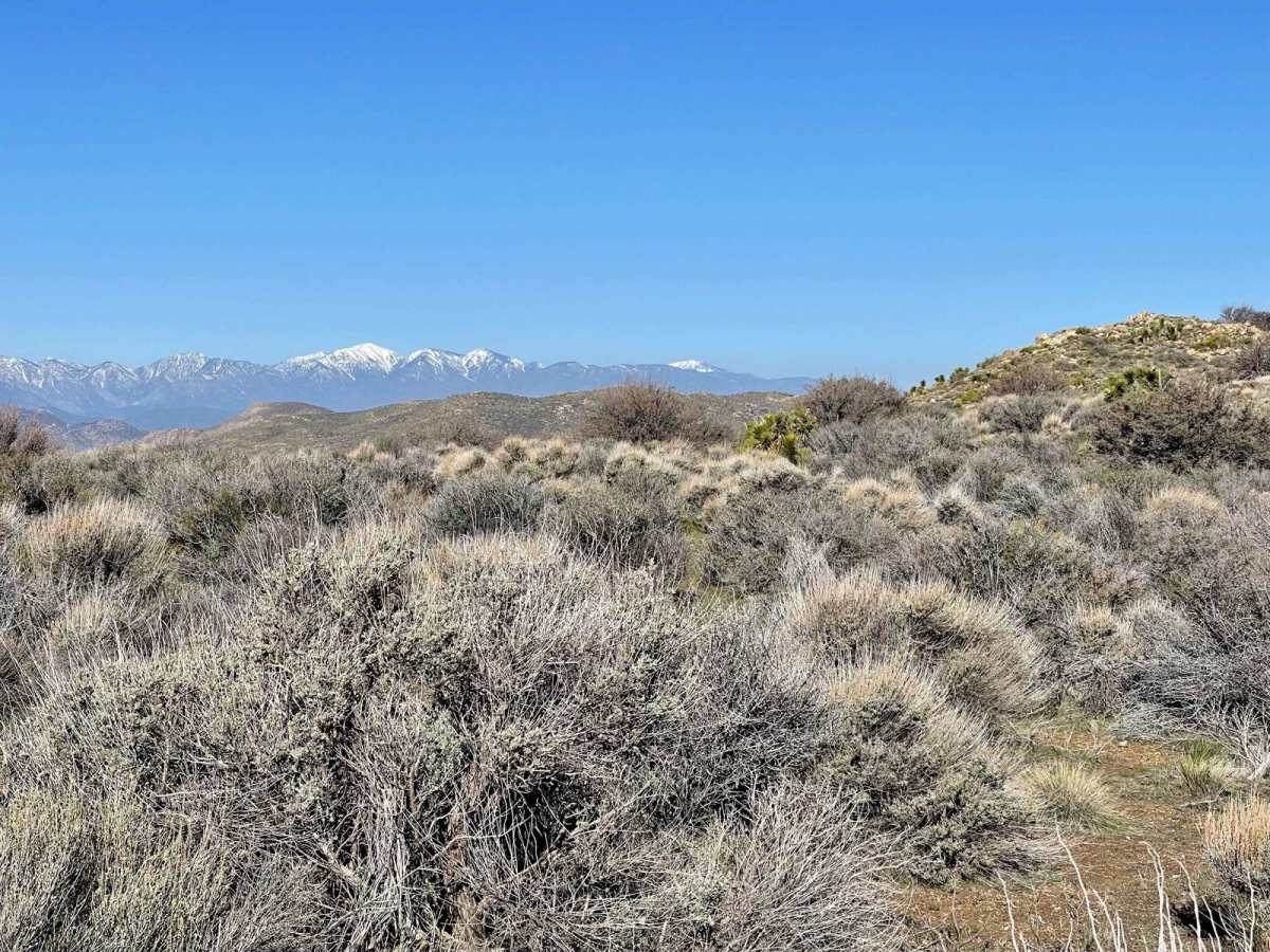 ST 2W16 MOTO trail photo