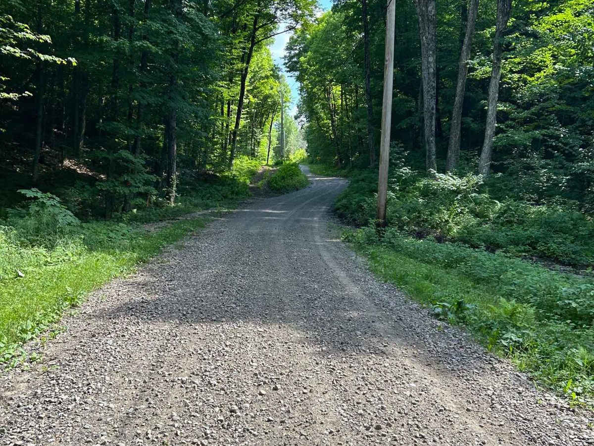 Twin Lakes Road photo 6