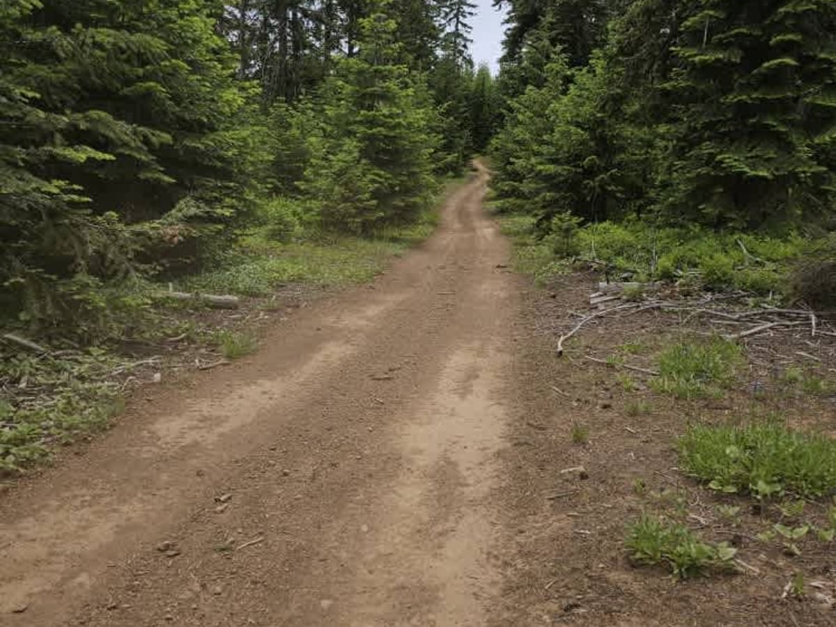 North to South Trail photo 2