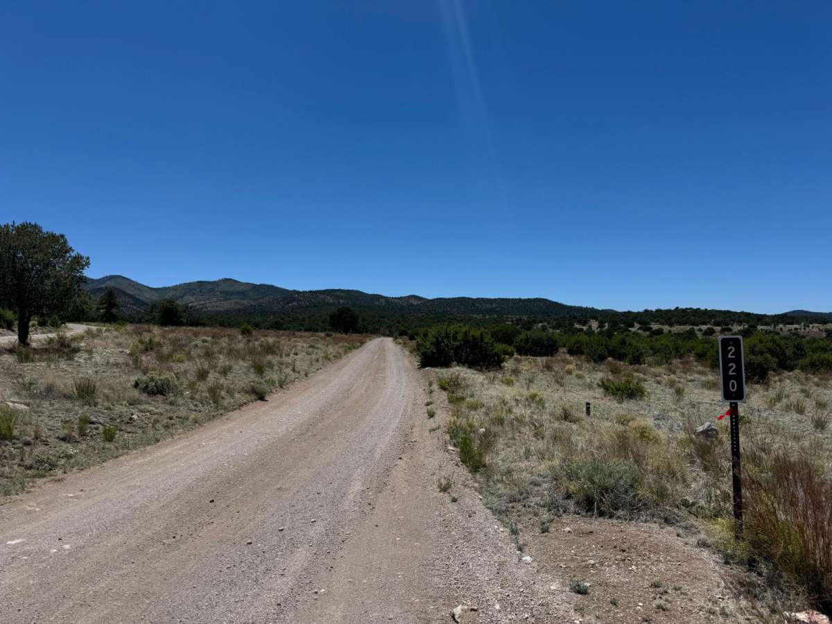 Old Canyon FR 220 trail photo