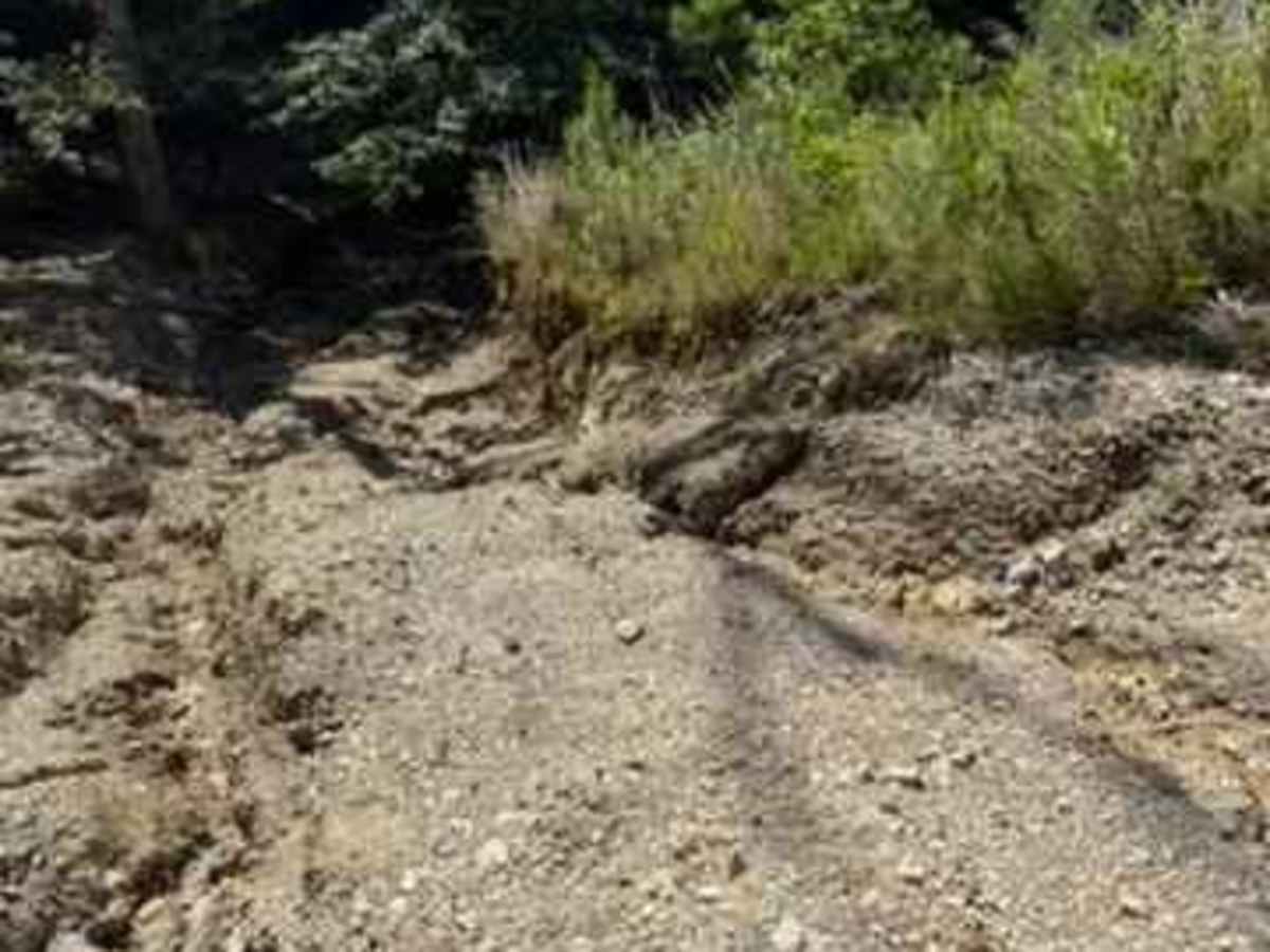 H36 photo 4