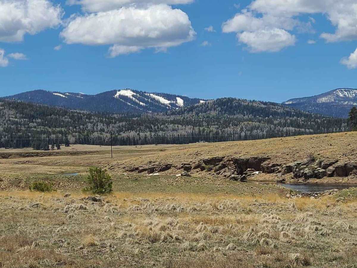 Forest Service Road 112 photo 4