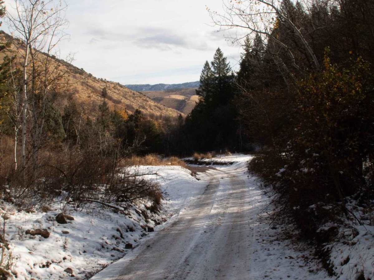 Three Mile Canyon photo 5