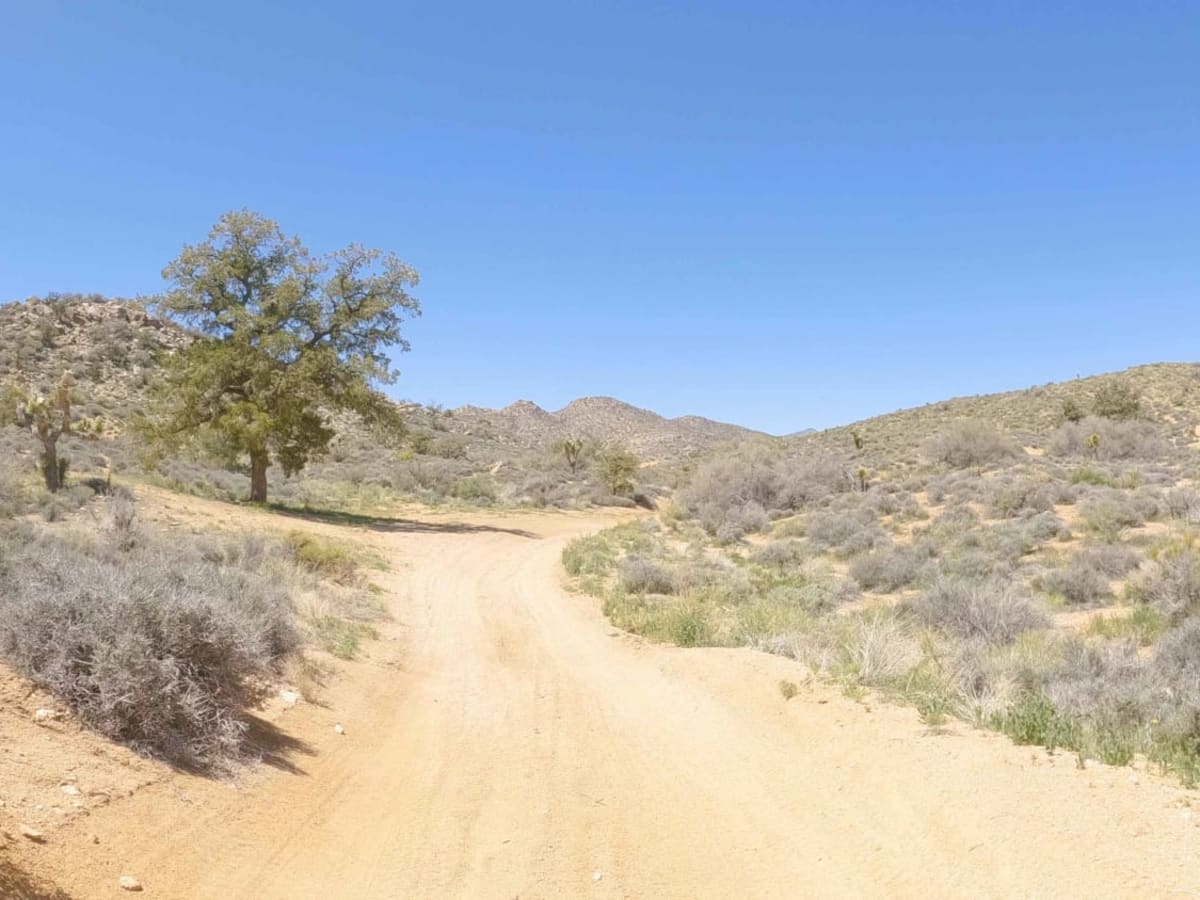 New Dixie Mine Road - BLM C2330 photo 2