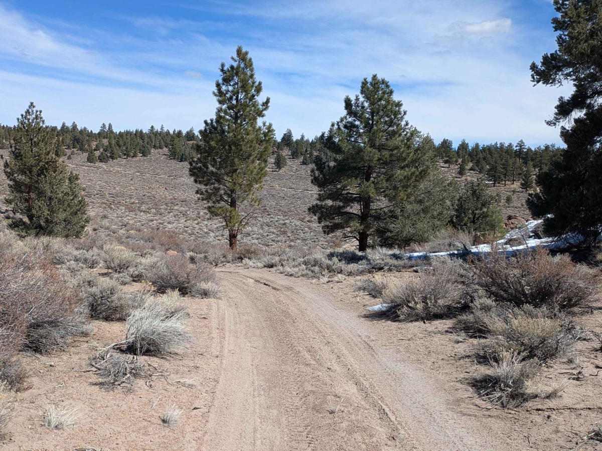 FS 4S4111 trail photo