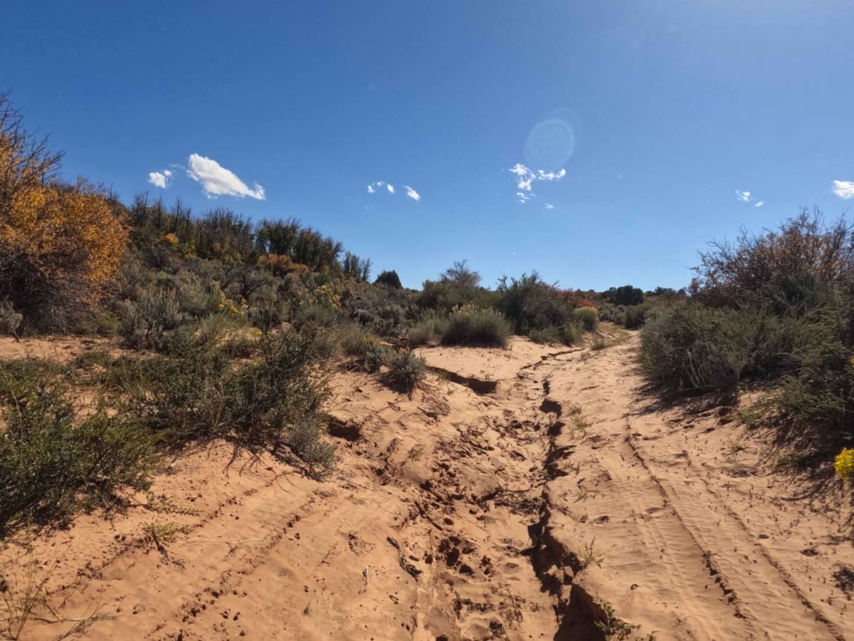 Fin Little Wash trail photo