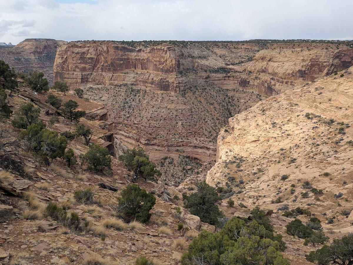 Wedge Cutoff Road - CR 406 photo 3