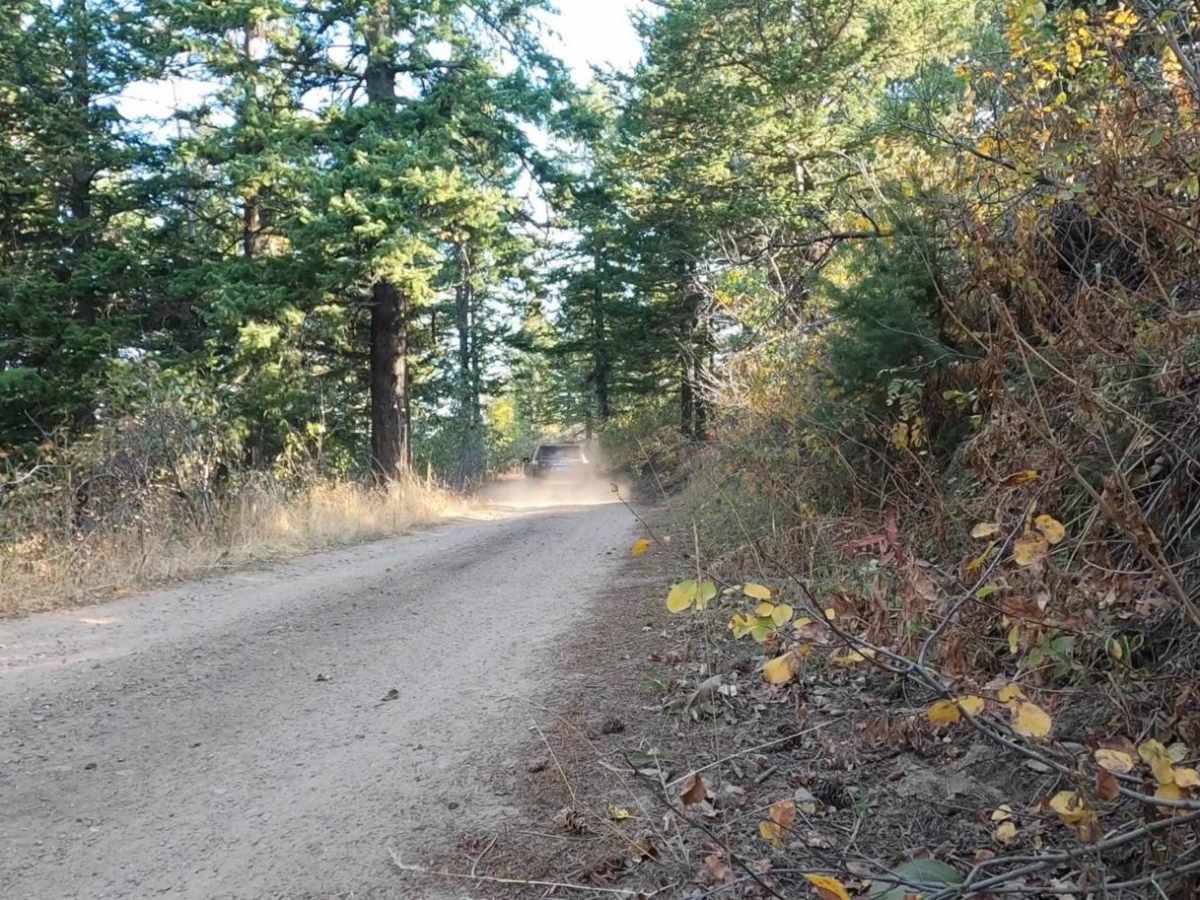 Scout Mountain photo 5