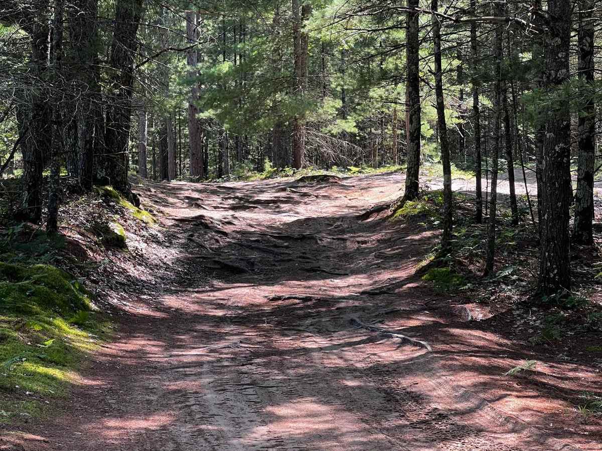 Rooted River Trail trail photo