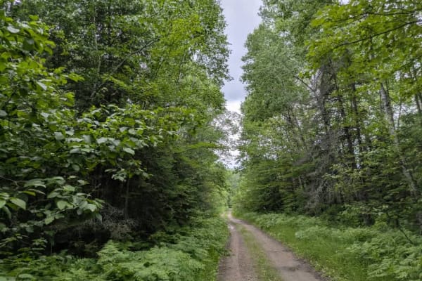 Old Angora Road