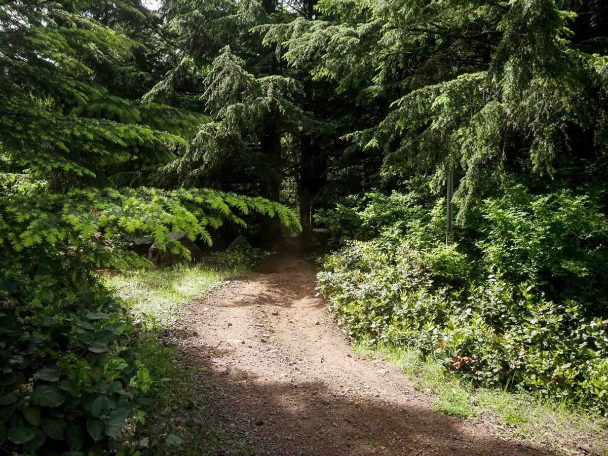 Cake Walk trail photo