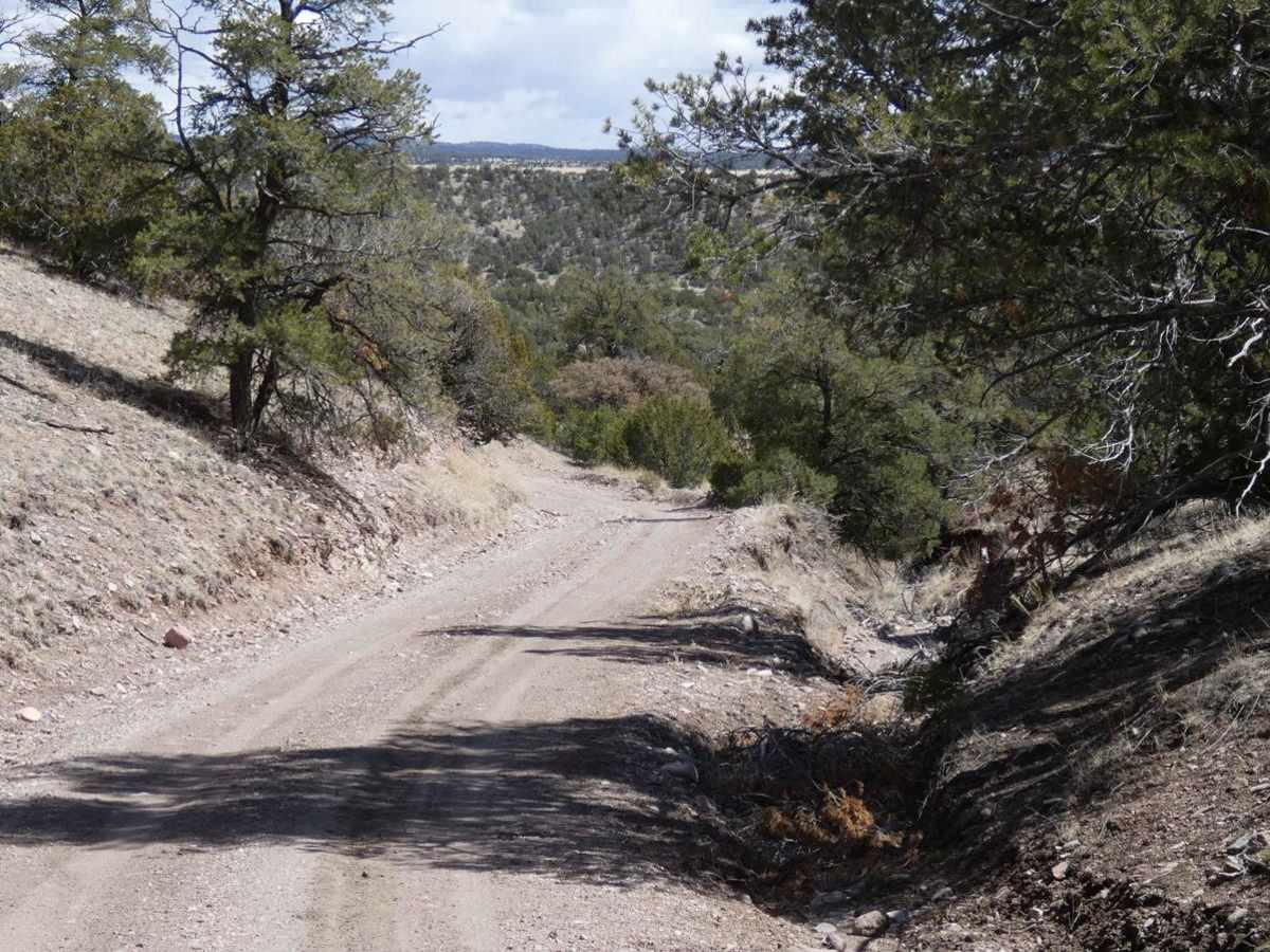 5 Canyon Pass photo 3
