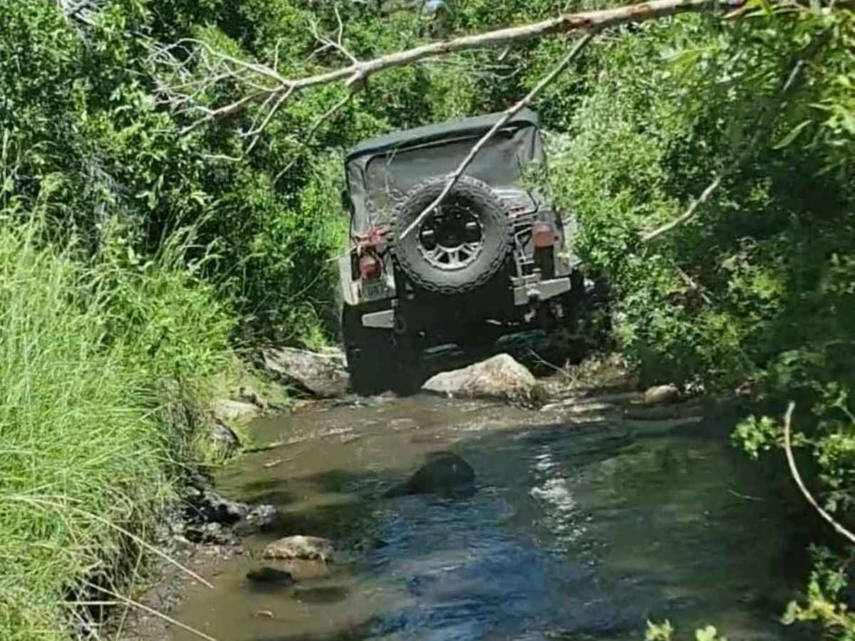 Poison Creek photo 4