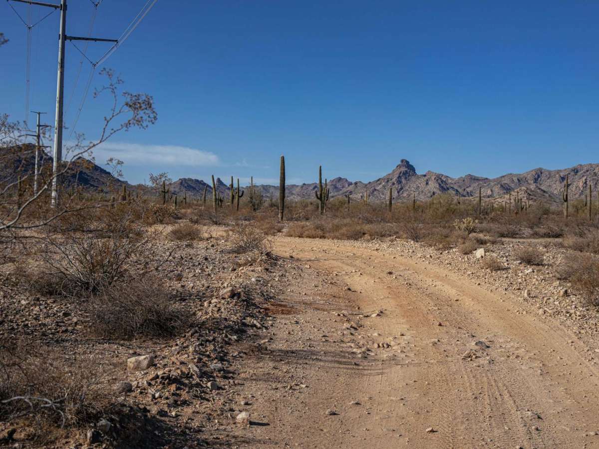 24080 Trail photo 2