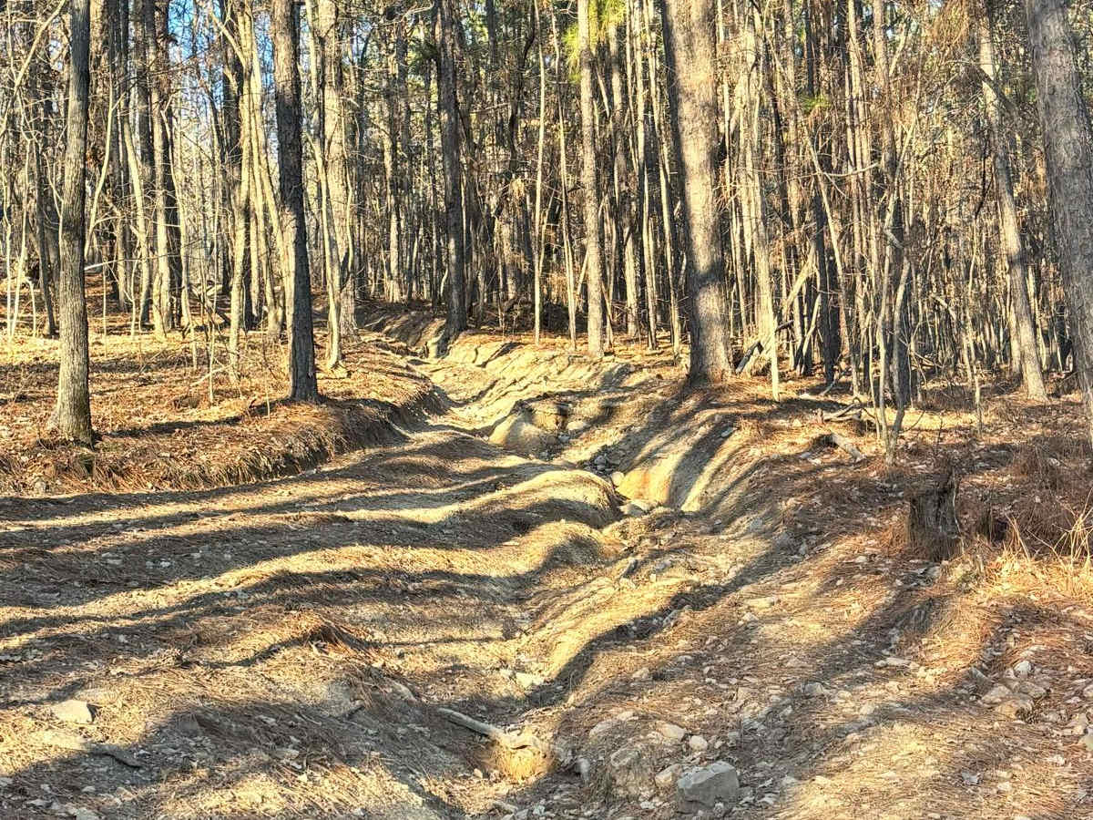 60 trail photo