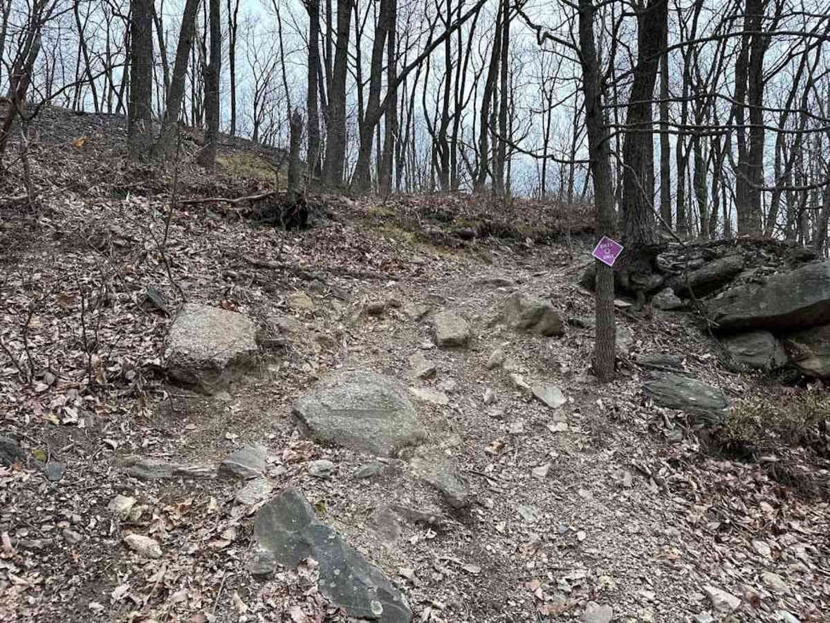 Darkwater Single Track 7 photo 4